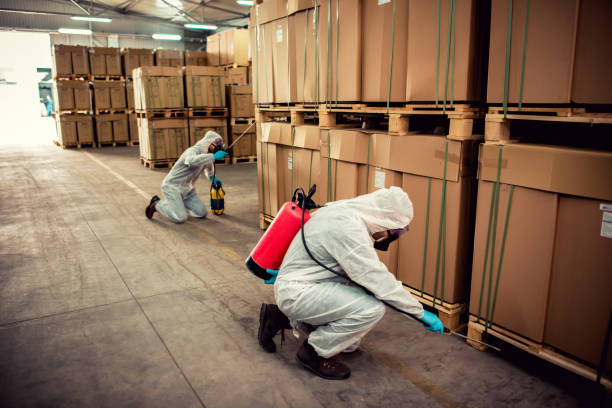 Best Termite Control Services  in Marietta, GA