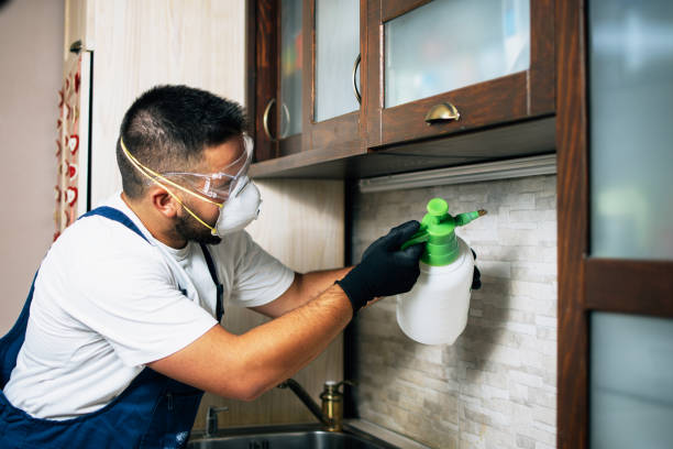 Best Mosquito Control Services  in Marietta, GA