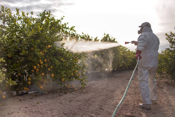 Best Commercial Pest Control Services  in Marietta, GA