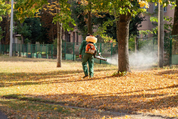 Best Insect Control  in Marietta, GA