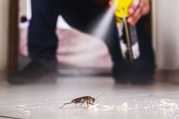Marietta, GA Pest Control Company