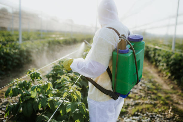 Best Emergency Pest Control  in Marietta, GA